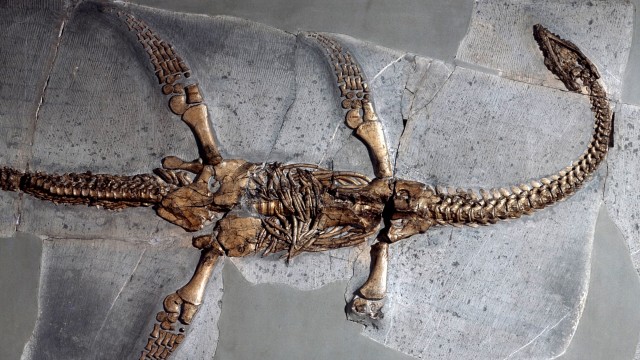 Click to watch 'The Loch Ness Monster' (popup) Historys Greatest Mysteries